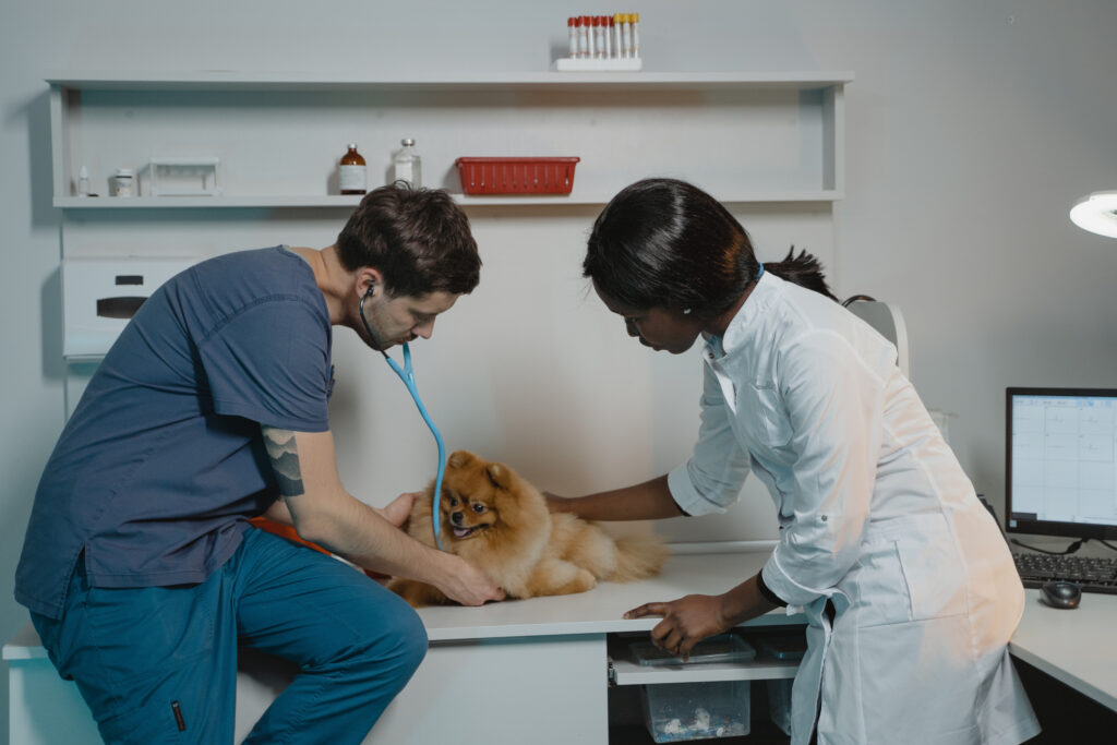avoid the pitfalls of owning a veterinary hospital